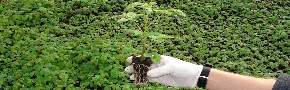 Vermehrung ist unser Fachgebiet