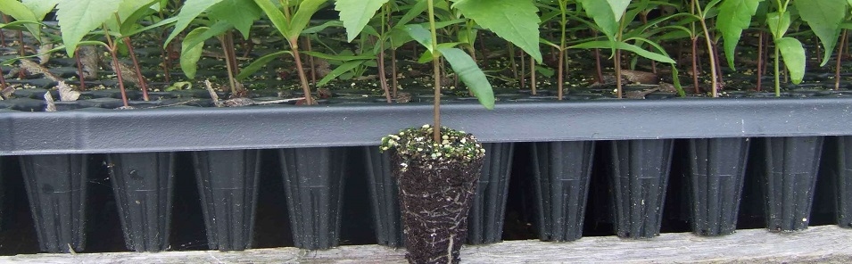 Durable and light quality